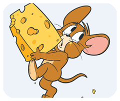 網(wǎng)絡(luò)專家預(yù)約安卓版下載正版安裝