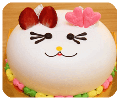 家樂送APP2024最新版本下載免費(fèi)安裝