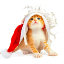 大學(xué)生就業(yè)網(wǎng)安卓版下載免費(fèi)2024