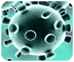 S+手機清理管家APP小游戲最新版