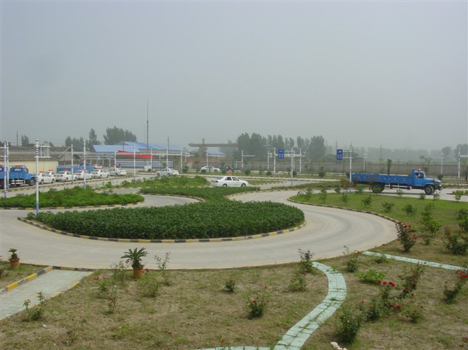 東辰駕校4