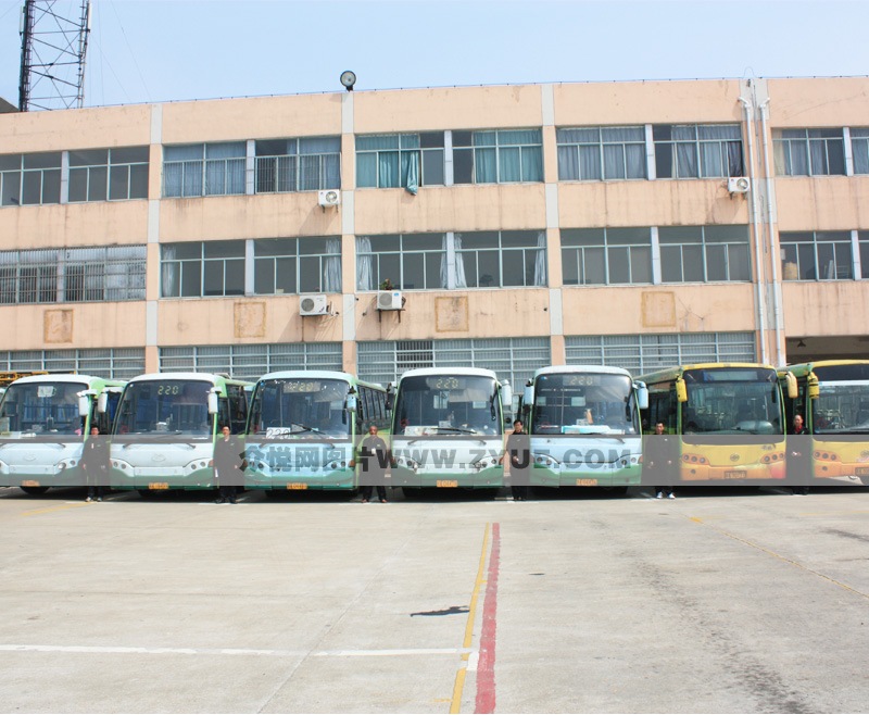 公交駕校教練車隊(duì)2