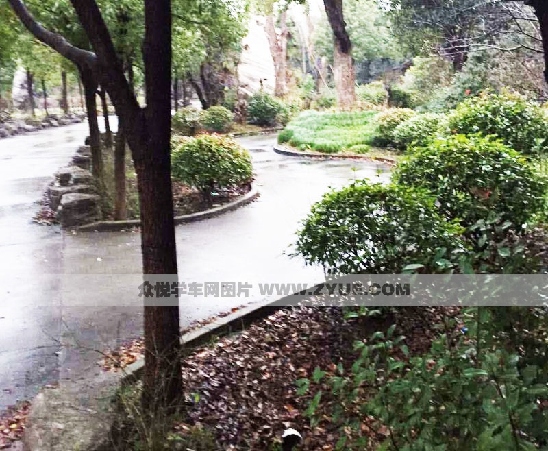 上?；菁疡{校曲線行駛場地