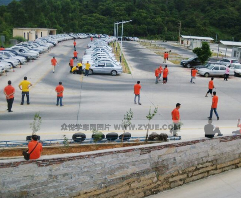 云文駕校訓練車型