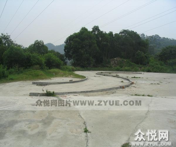 中健駕校風采7